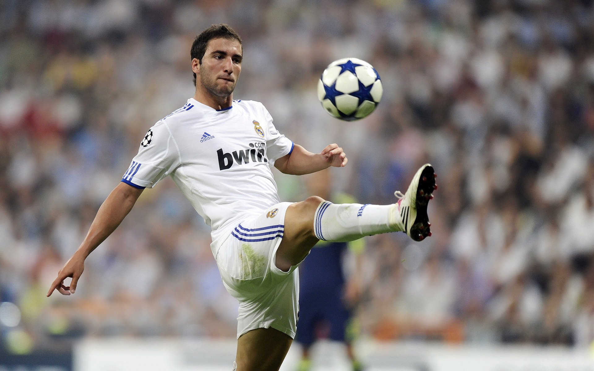 星空体育平台-罗德里复出首秀出彩，密尔沃基雄鹿主场大胜波尔图，豪取11连胜  第2张